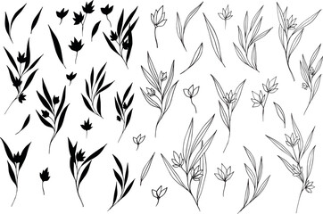 Set of botanical vector illustrations, black silhouettes and contours. Twigs with flowers isolated without background. minimalistic ink illustration for cards, tattoos, logos,, wedding decor.