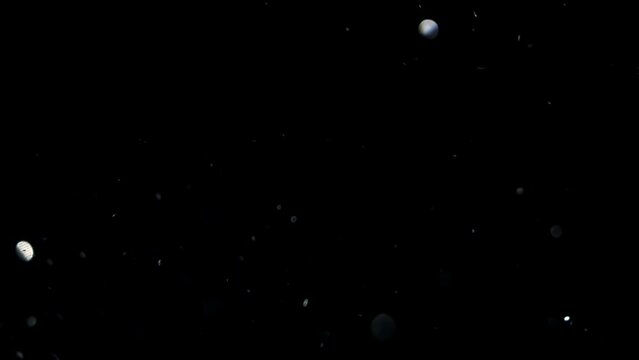Particles sparkling in the wind as an overlay for your footage