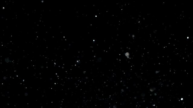 Overlay Particles flying in the wind