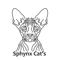 Sphynx Cat line art vector illustration