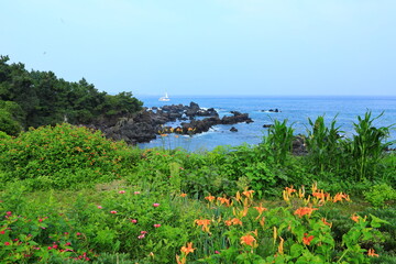 한국의 유명한 관광명소인 제주도 서귀포 해안의 아름다운 풍경이다.