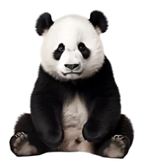 Fotobehang cute panda sitting, isolated on transparent background. Generative Ai © FP Creative Stock