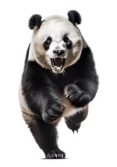 Foto auf Acrylglas panda attack, isolated on transparent background. Generative Ai © FP Creative Stock