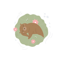 Top view illustration of a sleeping bear floating in the pond.