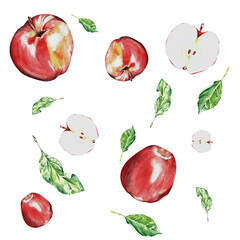 watercolor set. a red, juicy, ripe apple. for the design of postcards, packages