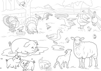 Farm background with domestic animals