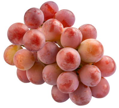 Queen Nina Grape On white background, Red grape isolate on white PNG File.