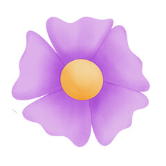 flower isolated