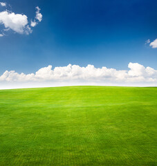 Fototapeta premium Landscape with green grass field under a blue sky