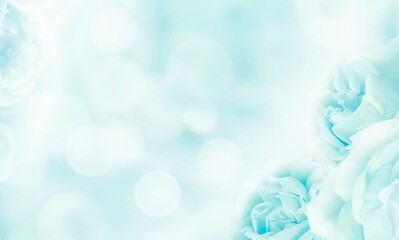 light blue flowers abstract background