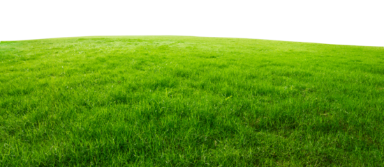 green grass field png