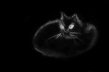 Single cat with big eyes isolated on black background. Hand drawn chalk picture with paper texture. Raster