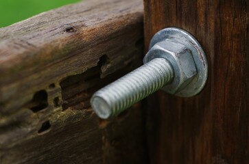 Close-up of a screw screwed into a wooden post