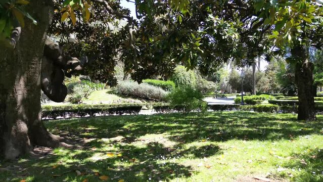 A beautiful parc in La Spezia, Italy. Drone flyght in parc.