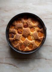 Apricot cake in a round cake pan isolated on light background