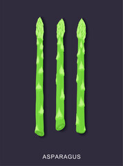 Three realistic stalks of asparagus. Poster design. Vector illustration