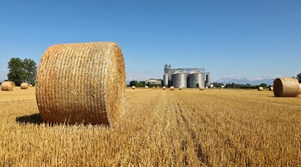 Round hay bales on a field with a grain storage silos system on background
