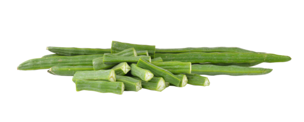moringa on transparent png