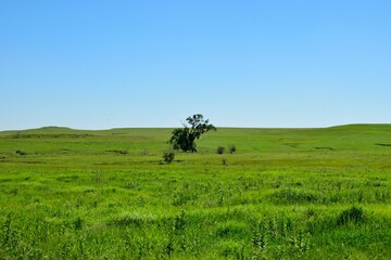 Scenic view of a lush green field with trees against a blue sky