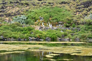 Picturesque landscape of Twin Falls on a beautiful day