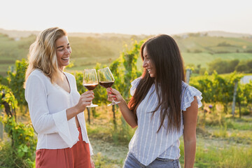 Young female friends tasting wine with wineyard in the background during sunset time - Happy women...