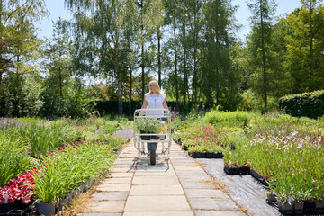Mature Woman Customer Pushing Trolley In Garden Centre Choosing Plants