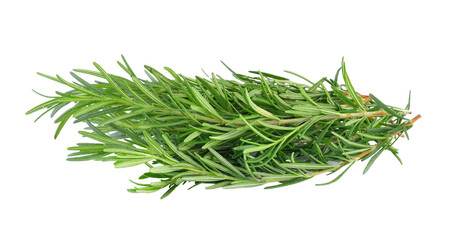 rosemary isolated on transparent png