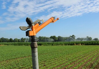 Orange sprinkler gun irrigator over an agricultural  field in summer. Other sprinkler irrigators in action on background.