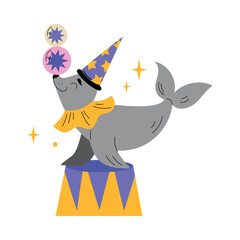 Circus Fur Seal Animal Balancing on Drum with Balls Vector Illustration
