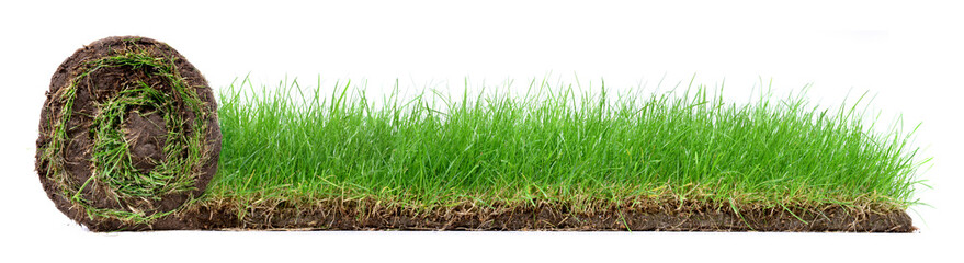 Rolling Lawn Panorama isolated on white Background