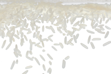 Japanese Rice flying explosion, white grain rices fall abstract fly. Beautiful complete seed jasmine rice splash in air, food object design. Black background isolated selective focus blur
