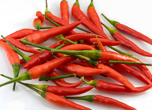 Frische rote und gr&uuml;ne Chilischoten &ndash; Scharfes Gem&uuml;se f&uuml;r die K&uuml;che