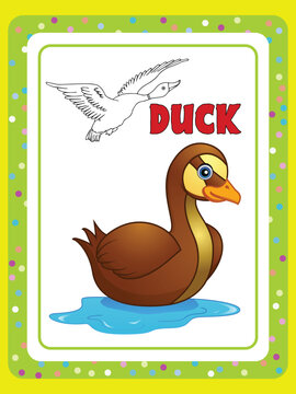 Duck coloring book pages,  Cute Coloring book animal, Duck Outline images 