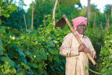 Indian farming happy farmer holding piggy bank in farm, poor farmer, farmer saving
