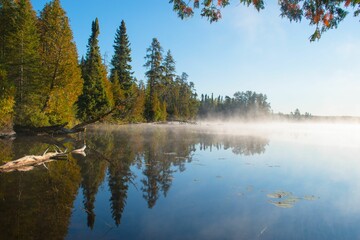 Tranquil autumn scene with calm pond water surrounded by green trees on a sunny day
