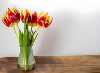 Tulpen: Ein Geschenk aus dem Garten