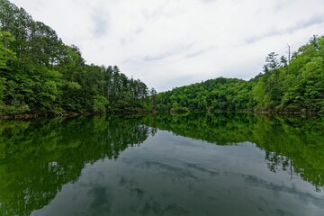 Obraz premium Scenic view of Carters Lake with lush greenery surrounding the shoreline