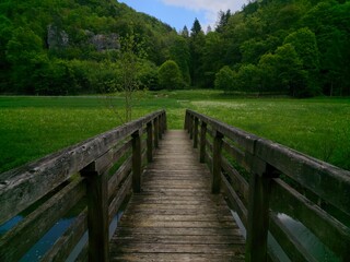 Beautiful rustic bridge spanning a tranquil lake and leading to a lush, vibrant green meadow