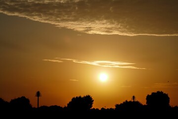 Silhouette view of the trees in a park against dusk sky at sunset