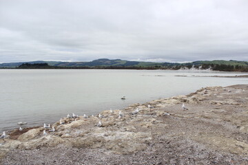 Lake Rotorua. New Zealand. 20 Sep 2011