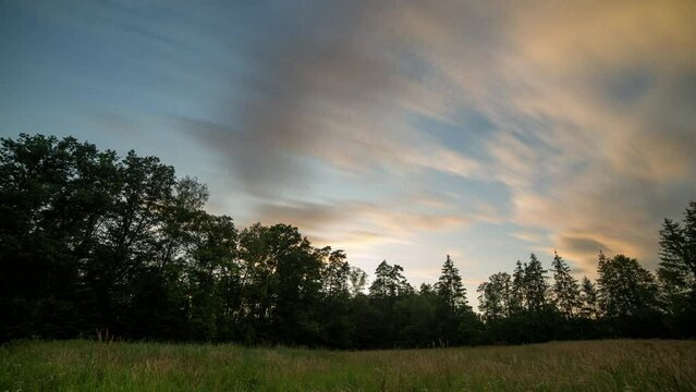 Evening long exposure time lapse with sunset sky over forest.