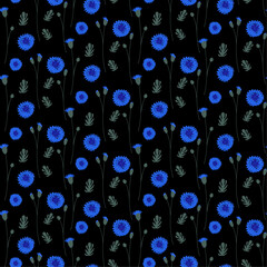 seamless pattern with blue cornflower flowers on black background