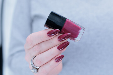 Woman hand with long nails and a bottle of dark red burgundy nail polish