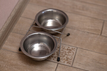 2 bowls for dog and cat on a stand on the laminate floor. Copy space