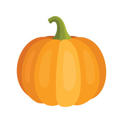 Pumpkin Isolated on White. Flat Design Style. Vector