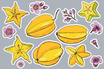 Carambola sticker set. Whole fruit, slice, flowers.