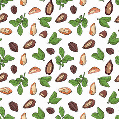 Seamless pattern with brazil nuts. Design for fabric, textile, wallpaper, packaging.	