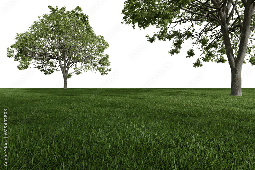 Fototapete realistic meadow with trees. 3d rendering of isolated objects.