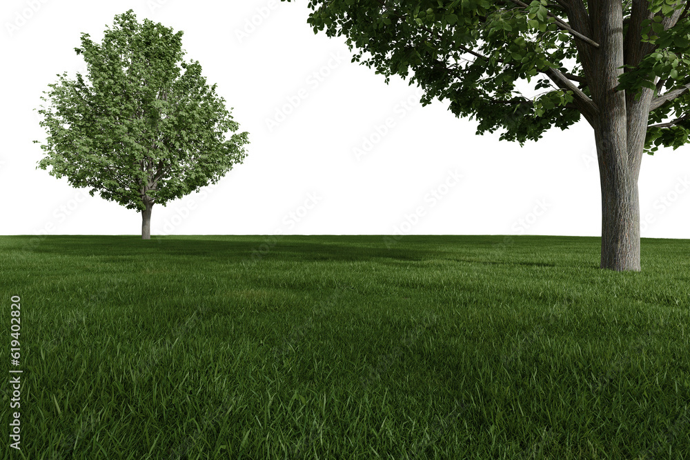 Fototapete realistic meadow with trees. 3d rendering of isolated objects.