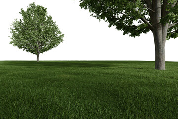 Fototapeta na wymiar Realistic meadow with trees. 3d rendering of isolated objects.